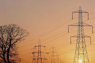 干货!2021年中国垃圾发电行业龙头企业分析——深圳能源:垃圾发电业务营收增速亮眼，输电业务稳健支撑